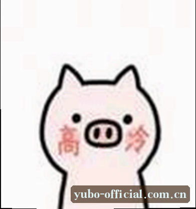 赵雅